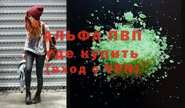 прущие грибы Абинск