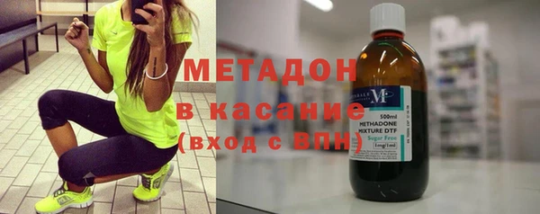 прущие грибы Абинск
