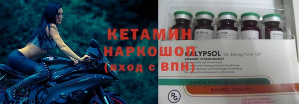 прущие грибы Абинск