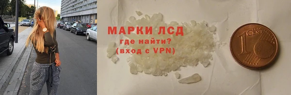 прущие грибы Абинск