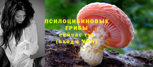 дмт Абдулино