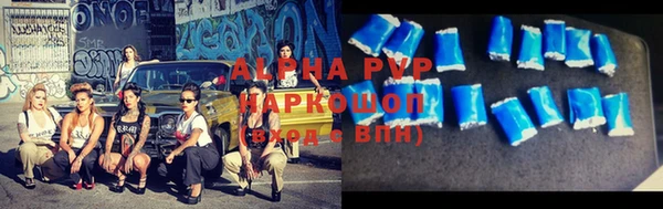 прущие грибы Абинск