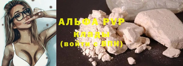 прущие грибы Абинск