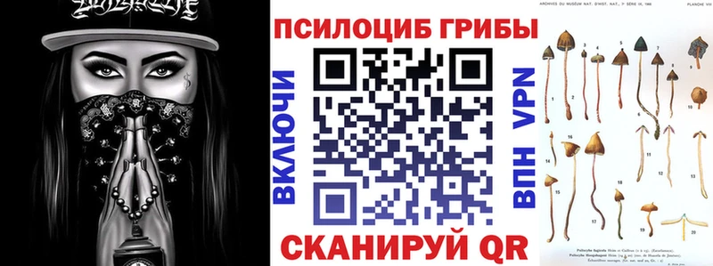 Псилоцибиновые грибы Psilocybe  гидра как войти  Чита 